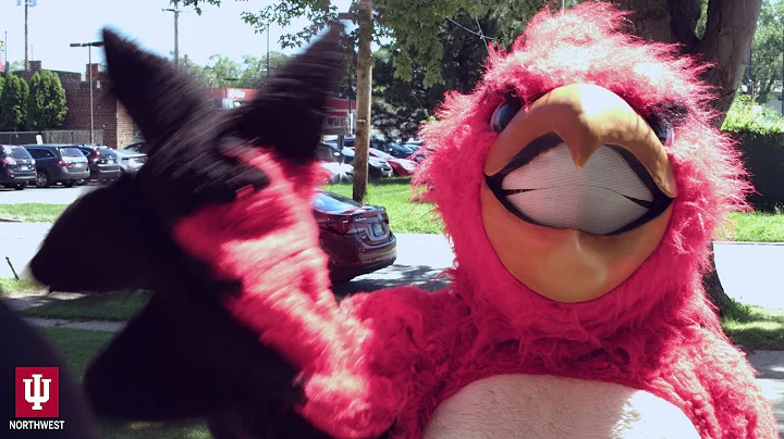 Welcome to IUN! ~IUN~