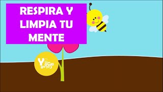 YOGA COLOR - ESPIRACIÓN DE LA ABEJA