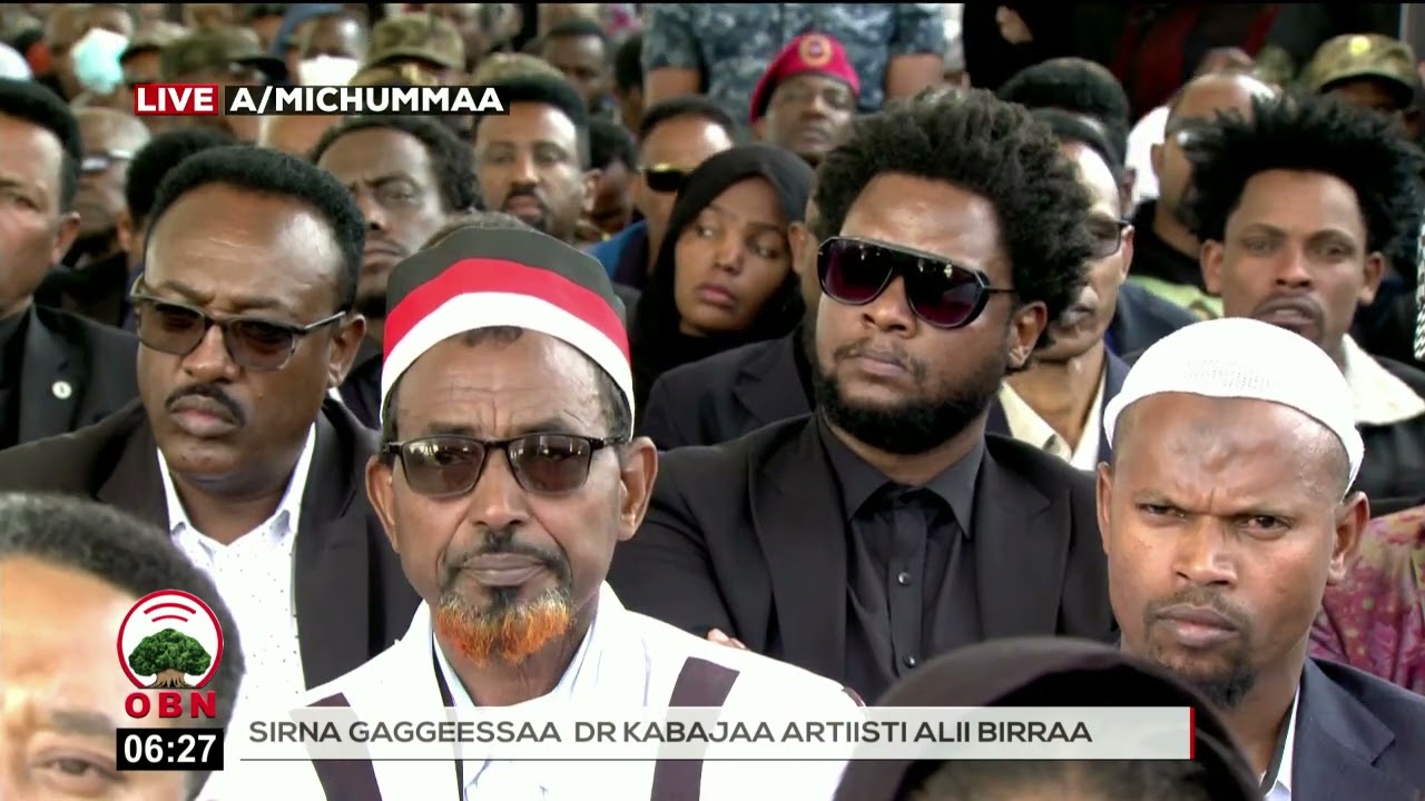 Oolmaa Dr.Kabajaa Artisti Alii Birraa Sabaafi Biyyaaf oole.