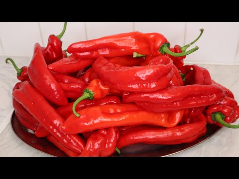 Como preservar BELL PEPPER