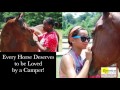 Ride your Favorite Horse at Camp!