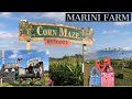 Our Kids got lost in the Corn Maze- Marini Farm Vlog