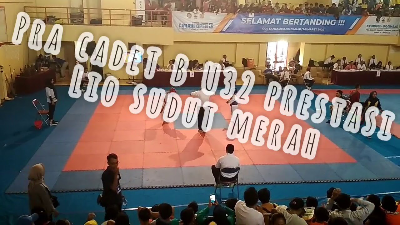 Tkd Cimahi : PELATIHAN MENTAL IMAGERY DALAM MENINGKATKAN ...