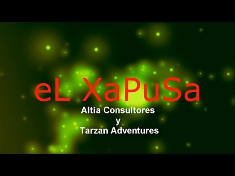 Mi experiencia con