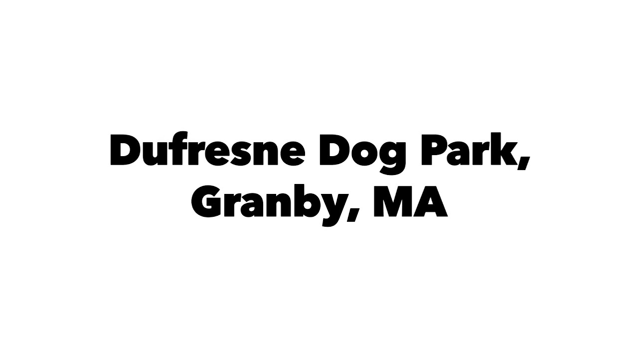 Ruby visits Dufresne Dog park in Granby, MA in a cloudy October