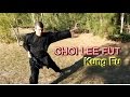 Choi lee fut kung fu english and spanish