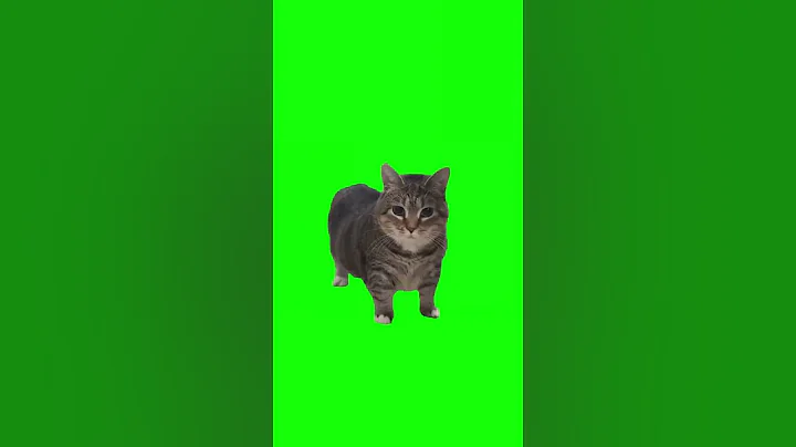 Brainrot Cat Meme !!! #shorts