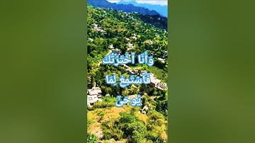 تلاوة خاشعة بصوت جميل ومؤثر #قران_كريم #قرآن #elmulquranعلم #المصحف