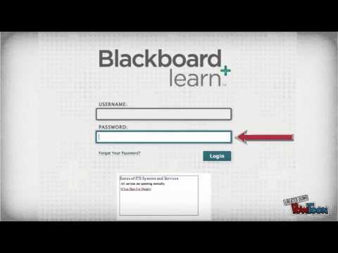 Blackboard Log In