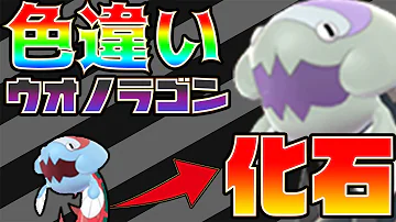 ポケモン剣盾 色違いウオノラゴンの化石ポケ色厳選を粘った結果 超絶きつかったわ 色違いポケモンで図鑑コンプの旅part4 ゆっくり実況 Mp3