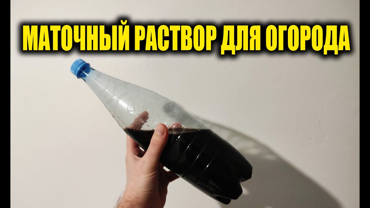 Маточный раствор для огорода, это супер удобрение или что это такое ...