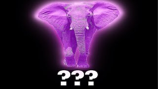 15 Elephant Sound Variations in 30 Seconds