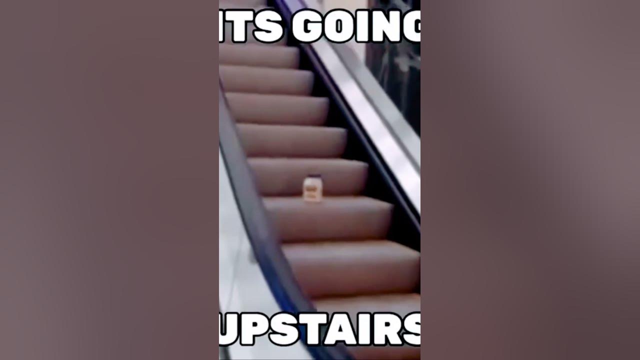 mayonnaise on an escalator YouTube
