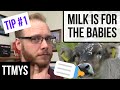 How Milk is Bad for You: Acne, Gas, Insulin Resistance ...