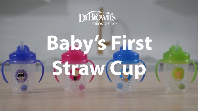 Dr. Browns Milestones Insulated Sippy Cup with Straw and Handles - Pink - 10oz - 2pk - 12m+