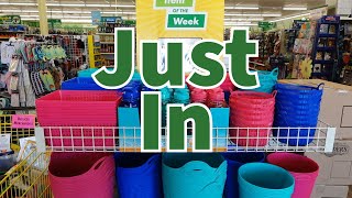 Dollar Tree 2024 | NEW Finds This Week