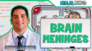 Neurology | Brain Meninges | Epidural, Subdural, Subarachnoid, & Intracerebral Hematomas screenshot 1