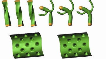 As-Rigid-As-Possible Mesh Animation