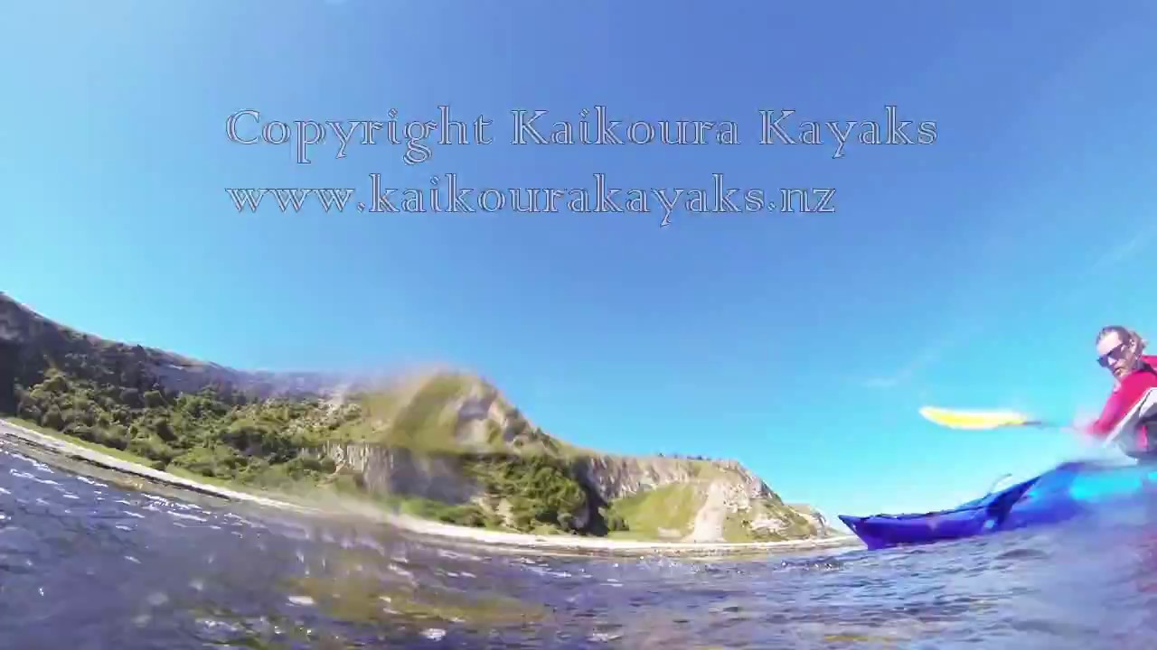 Hope Springs and Dusky Dolphins with Kaikoura Kayaks YouTube
