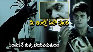 Madhavan & Neetu Chandra Telugu Movie Interesting Horor Scene| 13B Movie Scenes | WOW TELUGU MOVIES