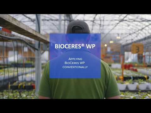 How to apply BioCeres WP