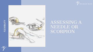 Assessing The Needle or Scorpion Position
