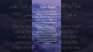 Download Lagu #Surah Baqarah ayat no 26 by #mishary rashid alafasy MP3