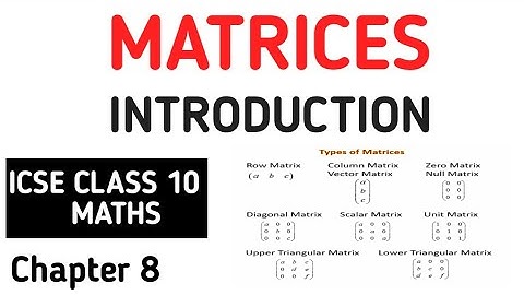 Matrices Class 10 ICSE | Introduction ICSE Class 10 Matrices M L Aggarwal | Matrix Chapter 8