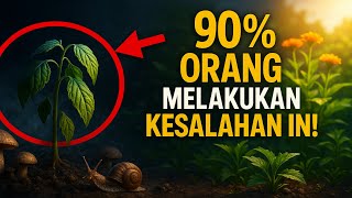 Don't water your plants at night before watching this video!
