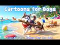 24 Hours Cartoon for Dogs to Watch, in Colors Dog Love - Calm Music &amp; Entertainment Videos for Dogs