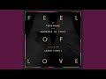 Miniature de la vidéo de la chanson Feel Of Love (Kaytranada Edition)