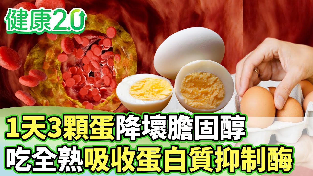 1天3顆蛋降壞膽固醇 吃全熟吸收蛋白質抑制酶【健康2.0分段】@tvbshealth20 EP3096-2 20250927 #鄭凱云#陳皇光#邱正宏#劉怡里#許聖梅#雷議宗