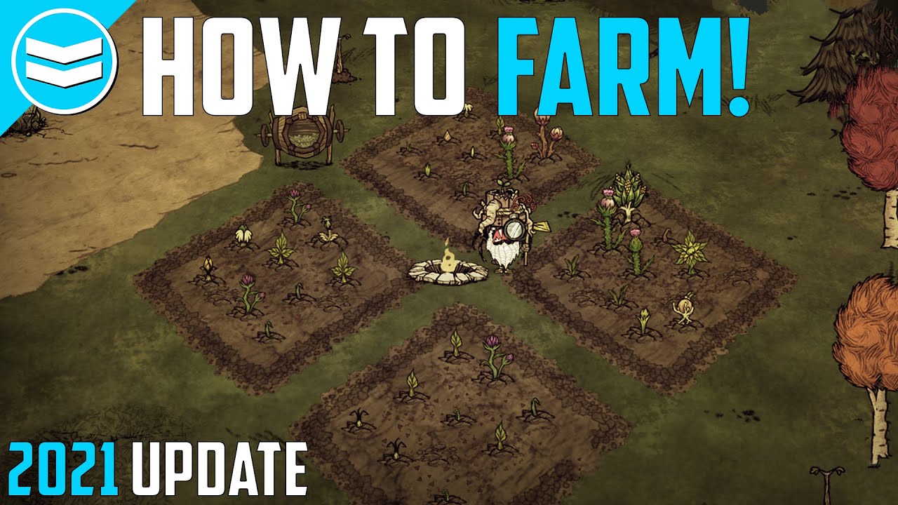 DST How to farm! Reap what you sow update (Don't starve together) 2021