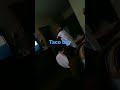 Tacoan