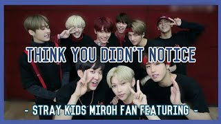 Things you didn't notice Stray Kids MIROH Fan Featuring Guide Video