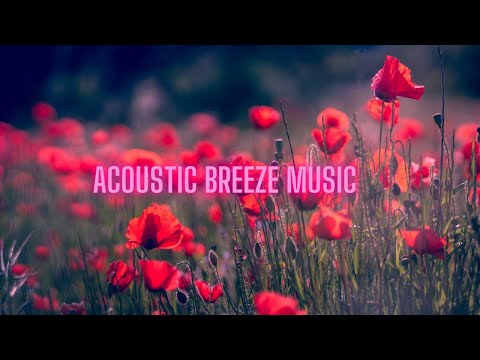 1 houp loop of acoustic breeze music