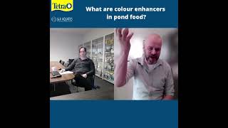 What are colour enhancers in pond food?