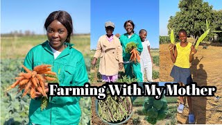 How we grow our own vegetables in Namibia| Farming with my mother| Namibian youtuber