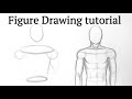 How to draw human figure drawing Male Torso easy for Beginners| Pencil drawing tutorial easy Basics