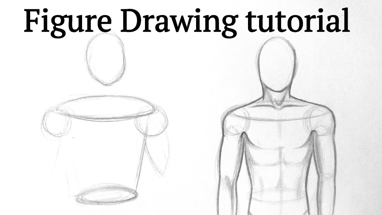 How To Draw The Male Torso - Requirementpollution5