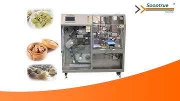 Dumpling Machine-Soontrue Packing Machinery