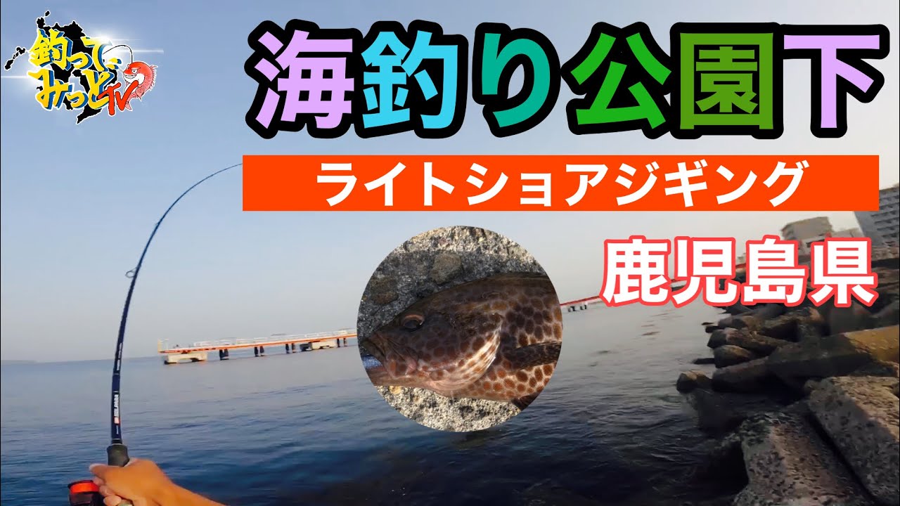 近場 鹿児島新港 でかアジ30cm連打 釣り 鹿児島釣り ショアジギング アジング 鹿児島アジング カゴ釣り フカセ釣り アジ マダイ 夜釣り スルスルするるー Fishing 釣りガール 桜島釣り Youtube