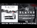 Slaves - My Soul Is Empty And Full Of White Girls (Cameron Mizell Remix)