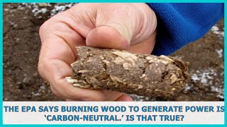 US BREAKING NEWS | The EPA says burning wood to generate power is ‘carbon-neutral.’ Is that true?