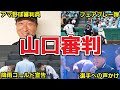 【神審判】山口審判のはどんな人?神エピソードも紹介