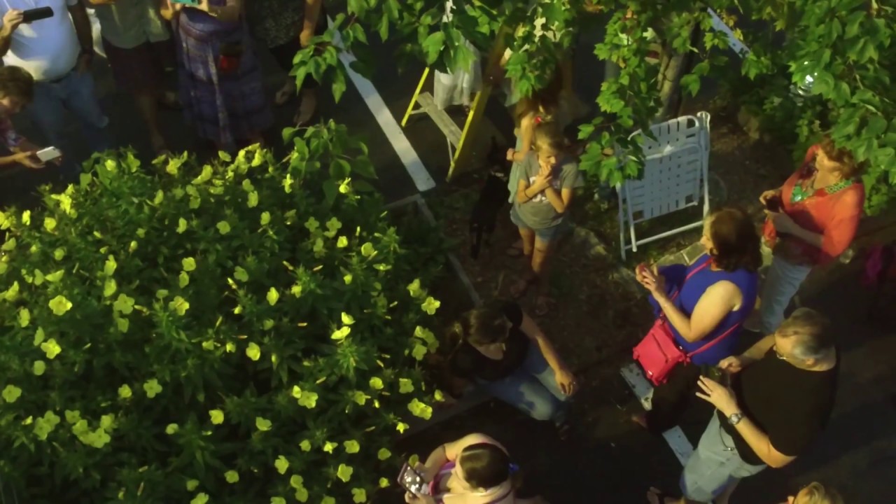 Moonflower Garden Party UNA