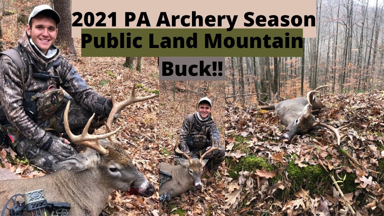 2021 PA Archery Season Public Land Mountain Buck YouTube