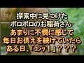 【不思議 稲荷 ｲｲ話】かわいそうなお稲荷さん。ボロボロの御神体にお供えを続けていたら…！？ 【朗読・字幕】