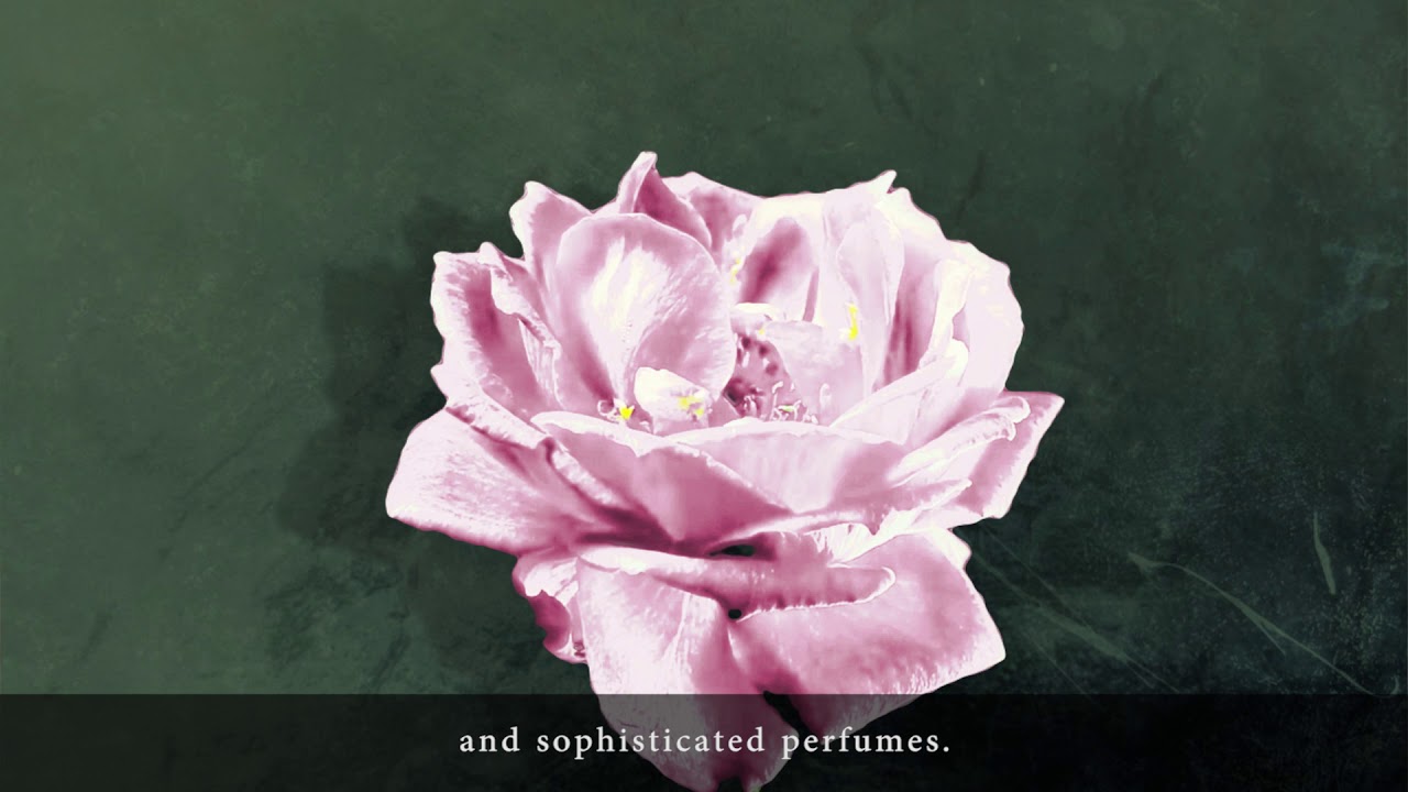 Panier des Sens: Brand story and values EN- English Subtitles