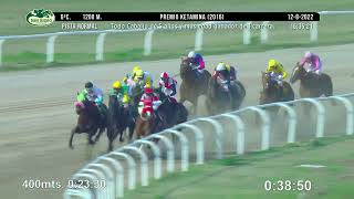 MASTER WONDERFUL - San Isidro - 12/8/2022